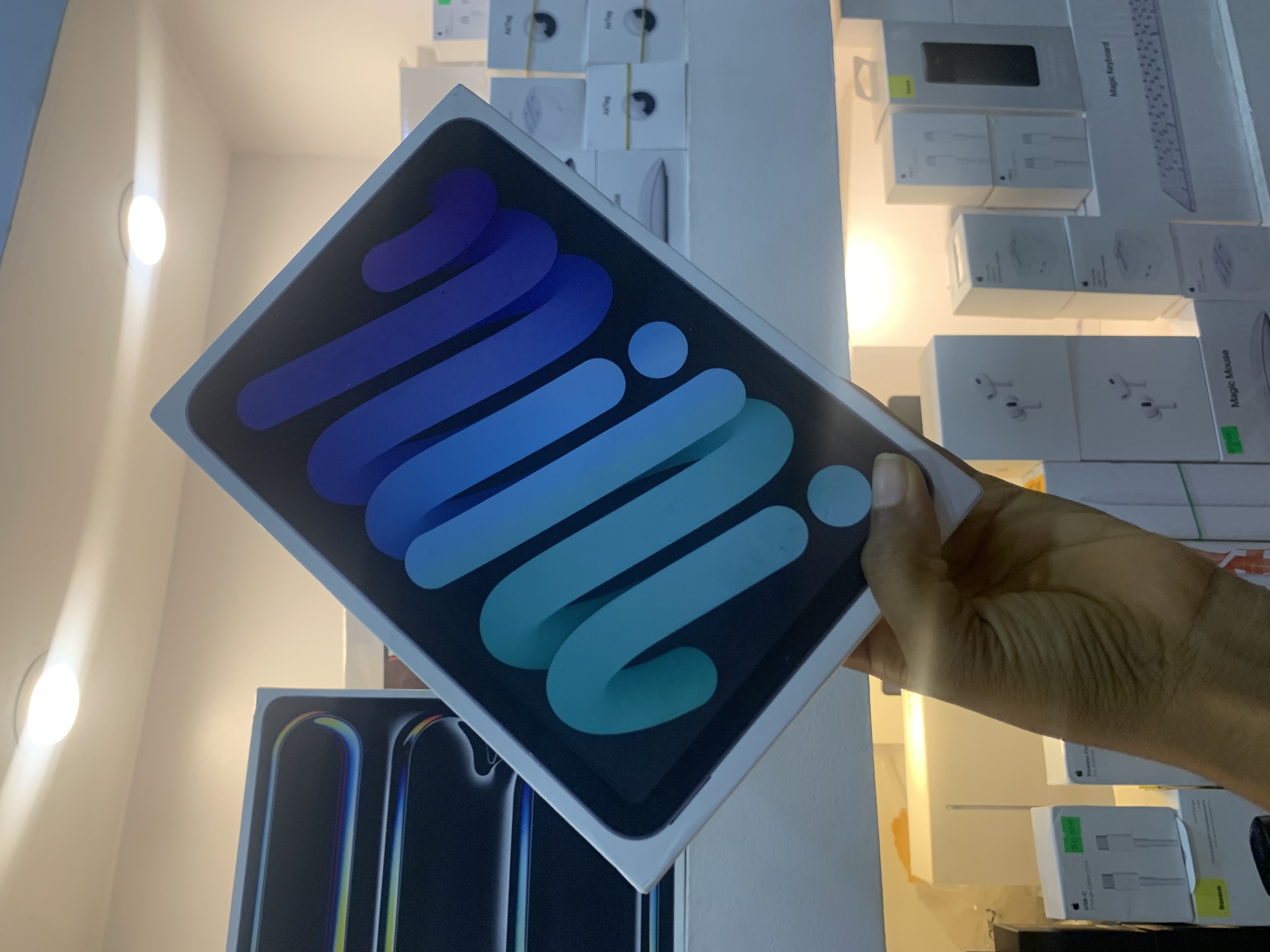 IPAD MINI 256B 6TH GEN WIFI/CELL